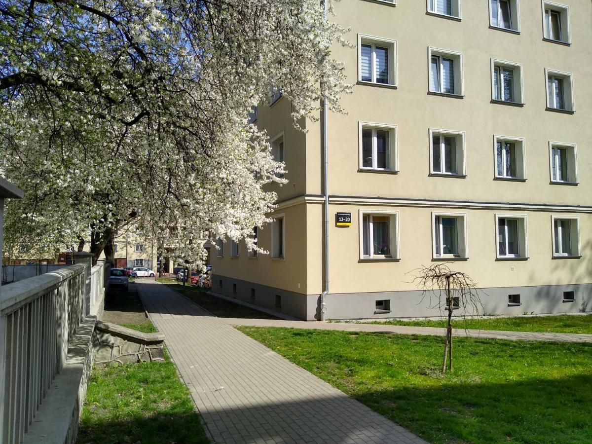 Apartment Bluebird Katowice Near Spodek Mck & City Center Exteriör bild